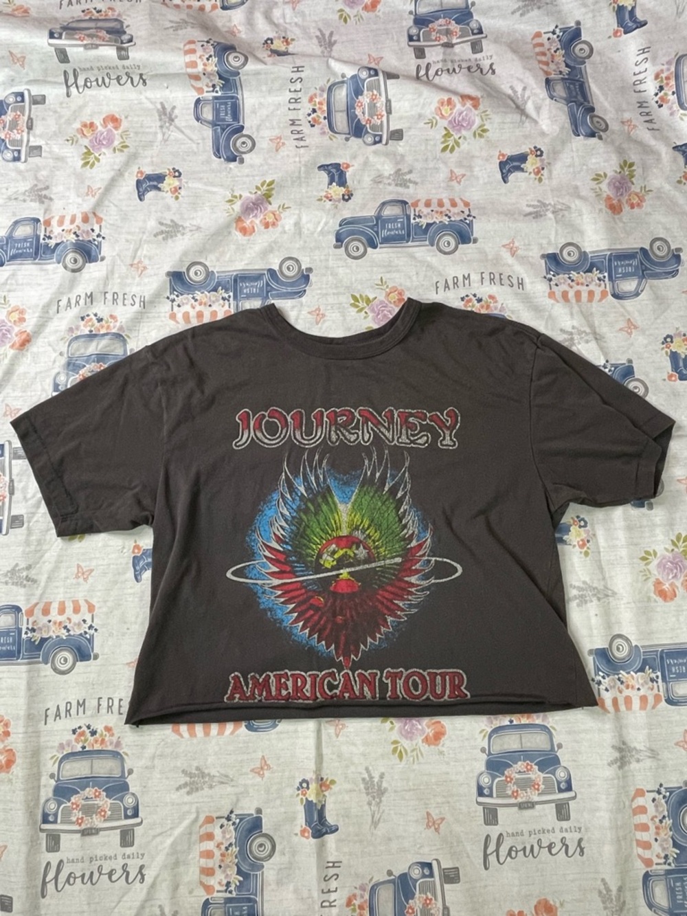 Journey Retro Reissue American Tour Cropped Band Graphic Tee – Oversized Small